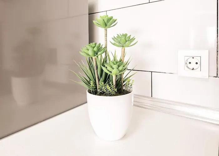 Frente Al Mar Playa De * 멜레나라